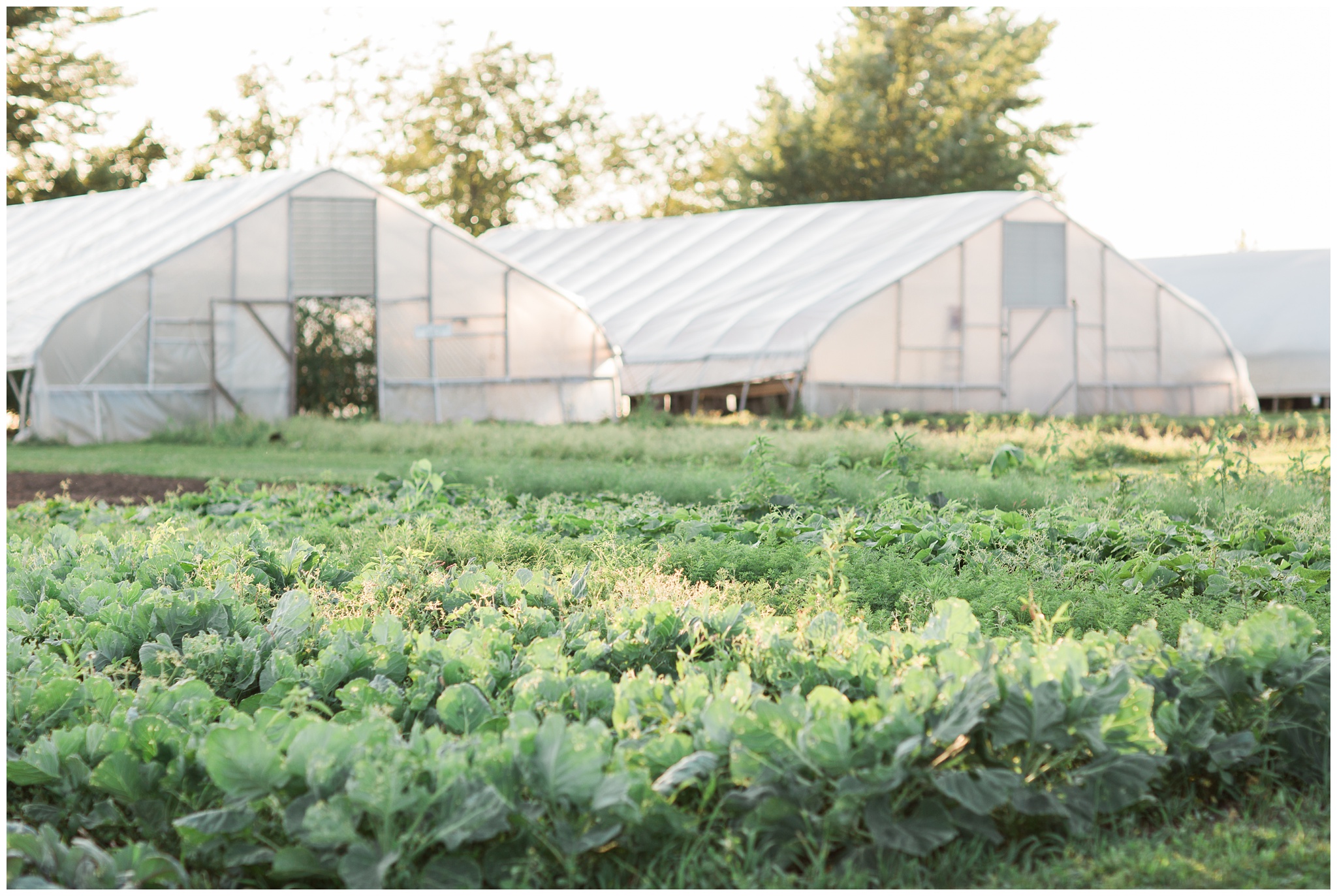 Heritage Prairie Farm Wedding Photographer