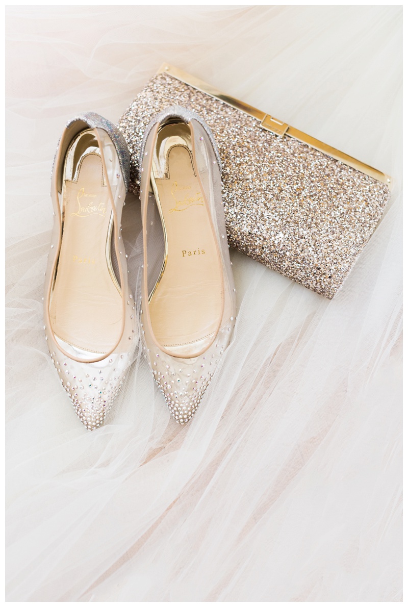 Glen Ellyn Wedding Photographer